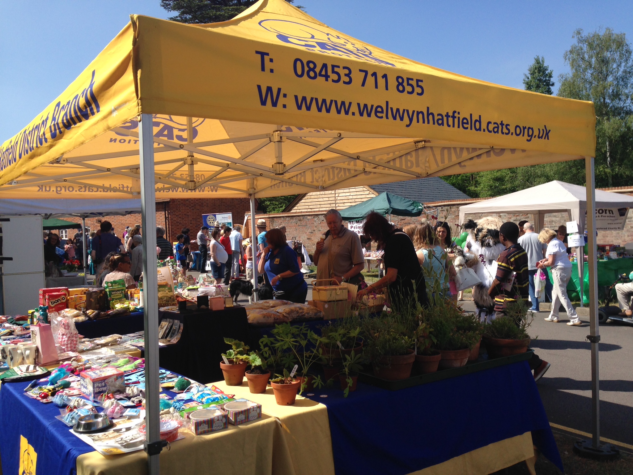 Welwyn Street Market